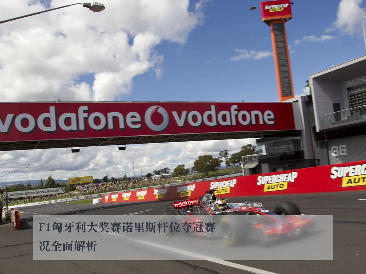 F1匈牙利大奖赛诺里斯杆位夺冠赛况全面解析