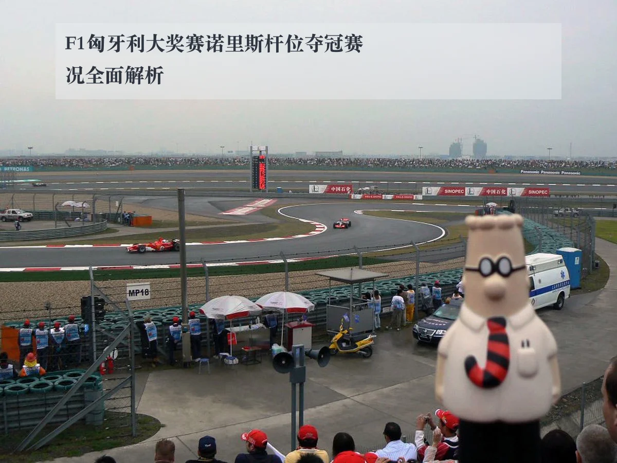 F1匈牙利大奖赛诺里斯杆位夺冠赛况全面解析